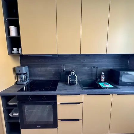 Komfortables Innenstadt-apartment Wolf - Zentrumlage Appartement *